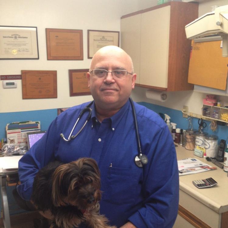 Midtown Animal Hospital New York, NY